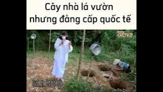 Ban nhạc cây vuờn lá nhà ( OsCar BAMBOO )