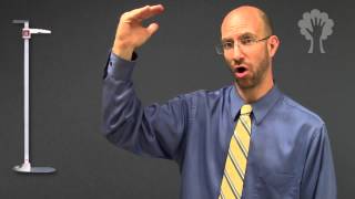 Describing People - Heights | ASL - American Sign Language