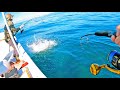 Multi-Species Deep Sea Fishing in a Little Boat (CATCH & COOK)