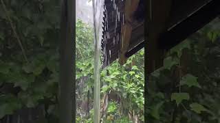 Hujan deras. Rumah jadi waterpark mini #hidrologia #sirkulasiair #drainaseatap #fenomenalangit