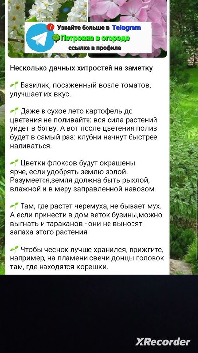 Дачные советы по огороду - YouTube