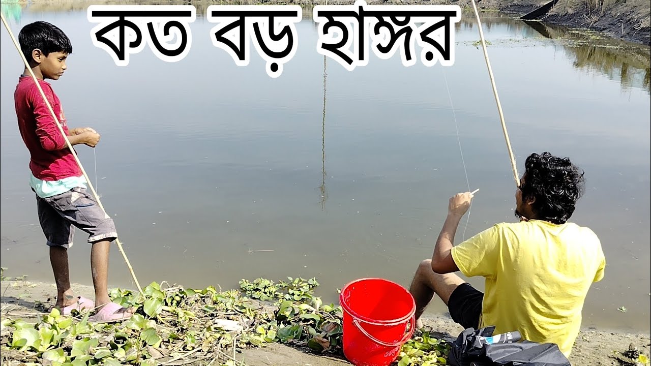 Big fishes hunting,catch by profational fisherman.best fishing vedio#fishing #trending #viralvideo