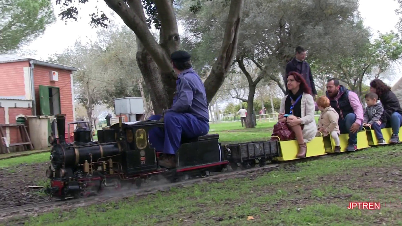 TREN DEL ALAMILLO DIA DE ANDALUCIA 2017