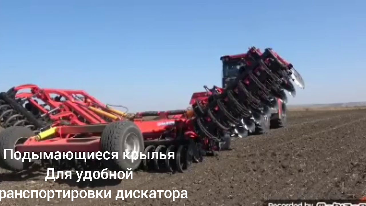 Калина агро краснодар