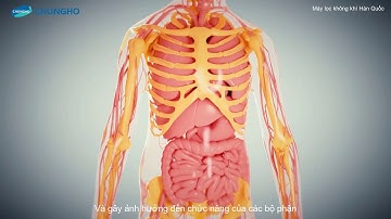 Tác hại của bụi mịn PM2.5 đến trẻ nhỏ