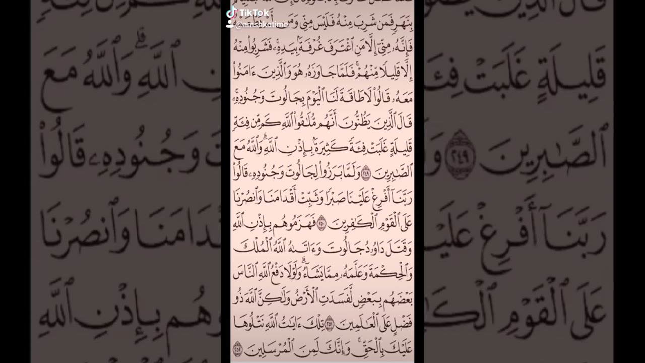 سورة البقرة صفحه في اليوم تسعد يومك بإذن الله تعالى 💓