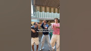 cant wait chat #tackyz #pinkpalmpuff #shorts