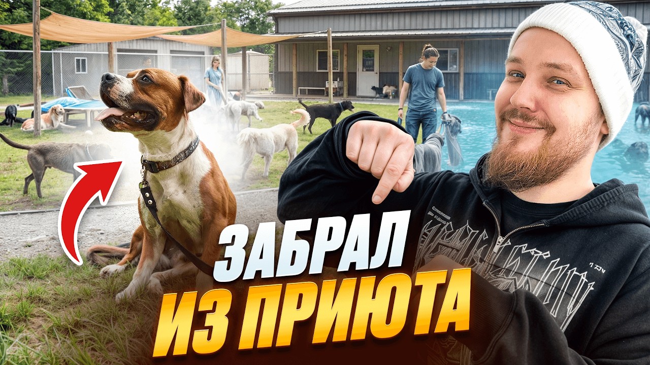 КАК Я ЗАБРАЛ СОБАКУ ИЗ ПРИЮТА?
