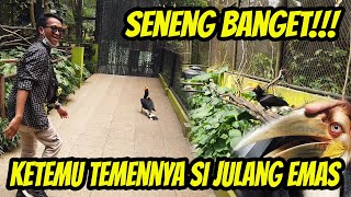 Download Lagu AKHIRNYA KETEMU TEMENNYA SI JULANG | SUMPAH INDAAH BANGET PARUHNYA MP3