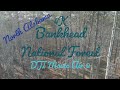 Drone video of Bankhead National forest DJI Air Mavic 2. For recreational use only