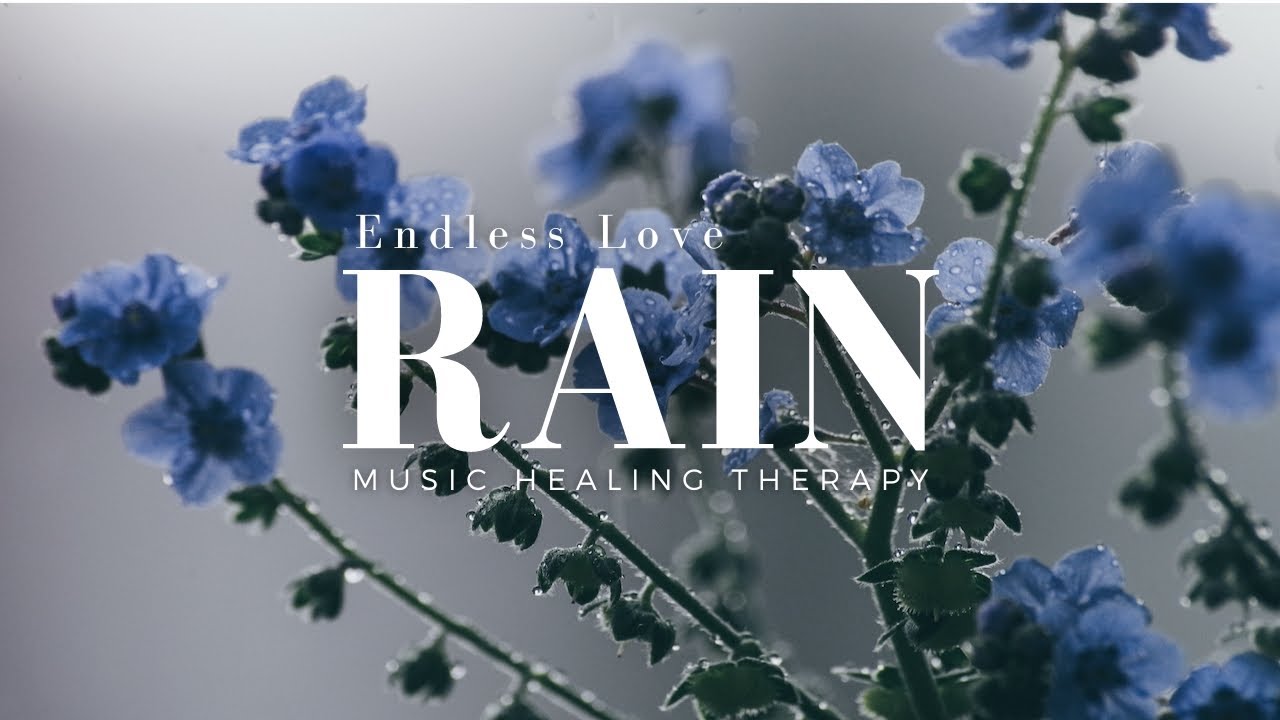 마음을 차분하게 해주는 빗소리 음악, 편안한 마음으로 쉬고 싶을 때 듣는 음악, 잠잘때 듣는 빗소리 수면음악, rain asmr