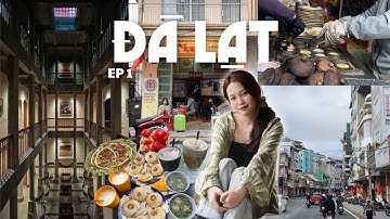 ĐÀ LẠT VLOG🌲EP 1 | Chuyến du lịch với những cơn mưa