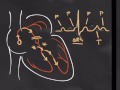 Cardiología: Bloqueo aurículo ventricular