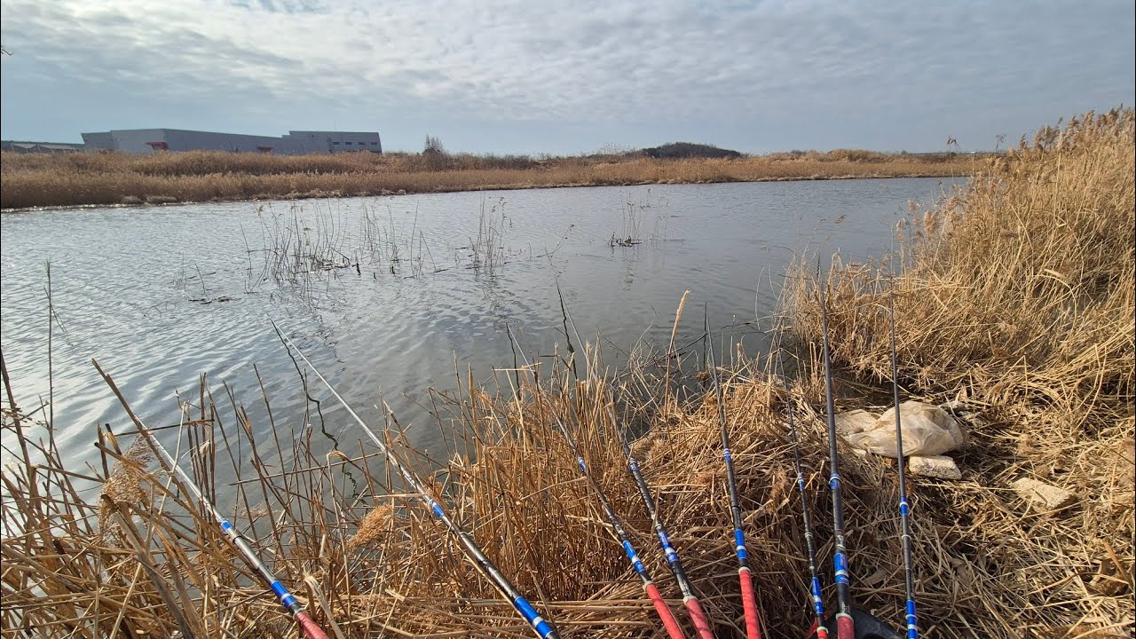 [조황]_ 중부권 퐁당퐁당 터지고 있습니다. 