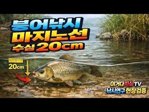 수심 20cm 말도 안 되는 조건에서 입질 받은 이야기