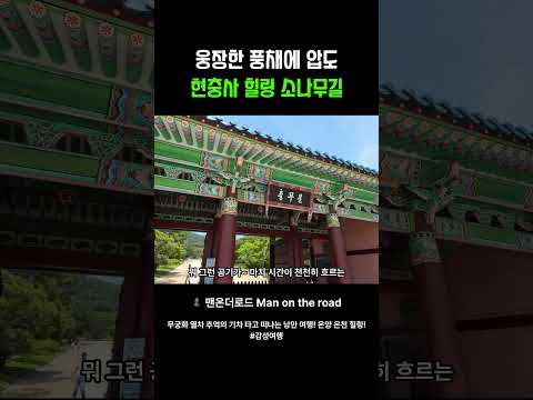 마음이 평온해지는 현충사 소나무길 산책 #여행브이로그 #힐링