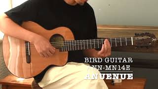 aNuenue Bird Guitar aNN-MN14E - YouTube