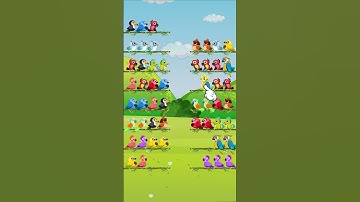 Bird Color Sort Puzzle Game | Vibrant Puzzle Adventure
