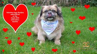 My handsome man deserves a personalised gift for Valentine's Day, an embroidered bandana #caydo #dog