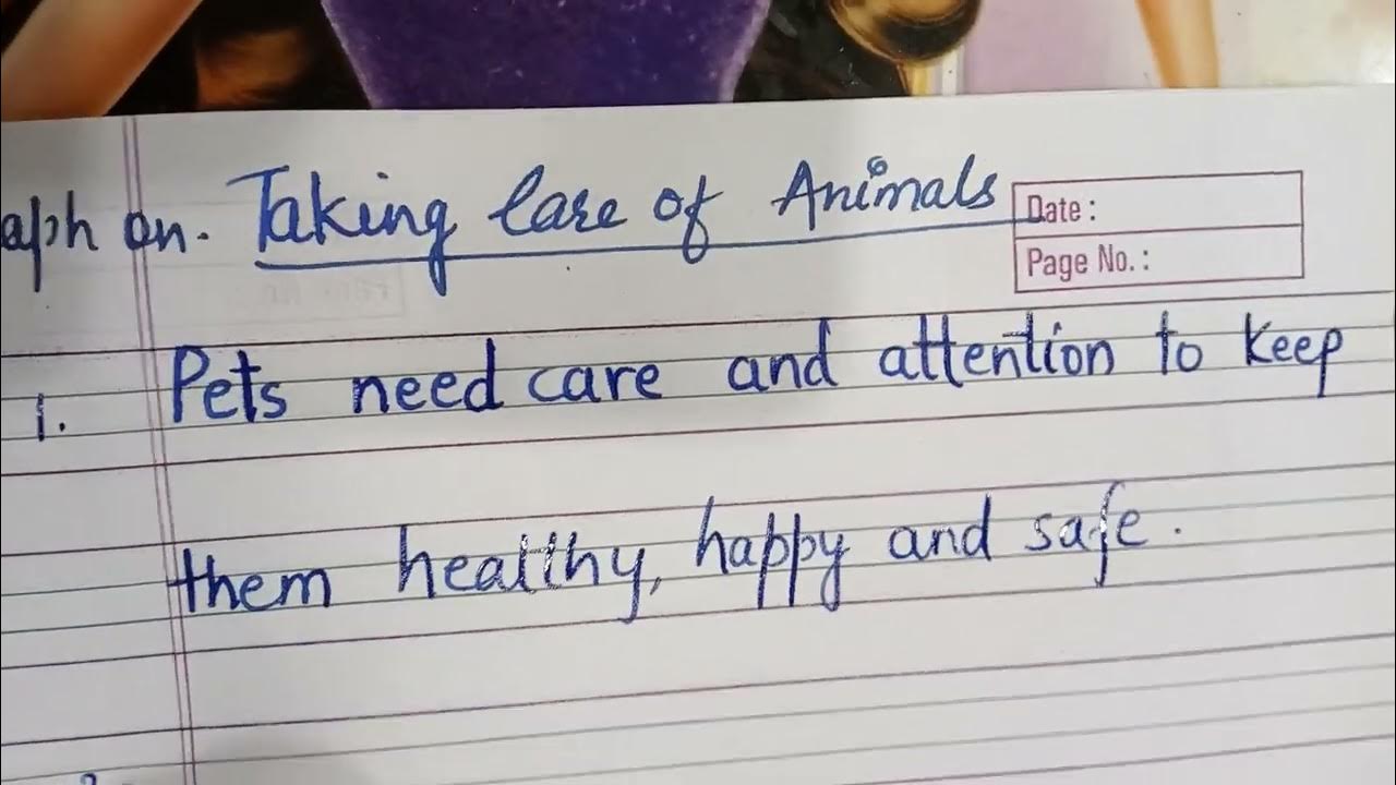 taking-care-of-animals-paragraph-youtube