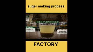 sugar production process in factory