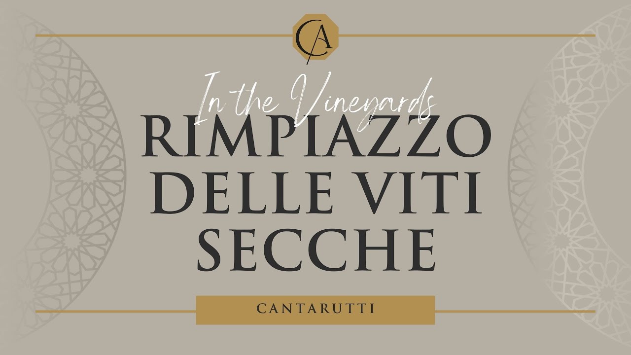 Rimpiazzo delle Viti Secche