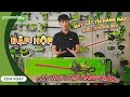 ĐẬP HỘP máy cắt tỉa hàng rào SIÊU KHỦNG GREENWORKS 60V