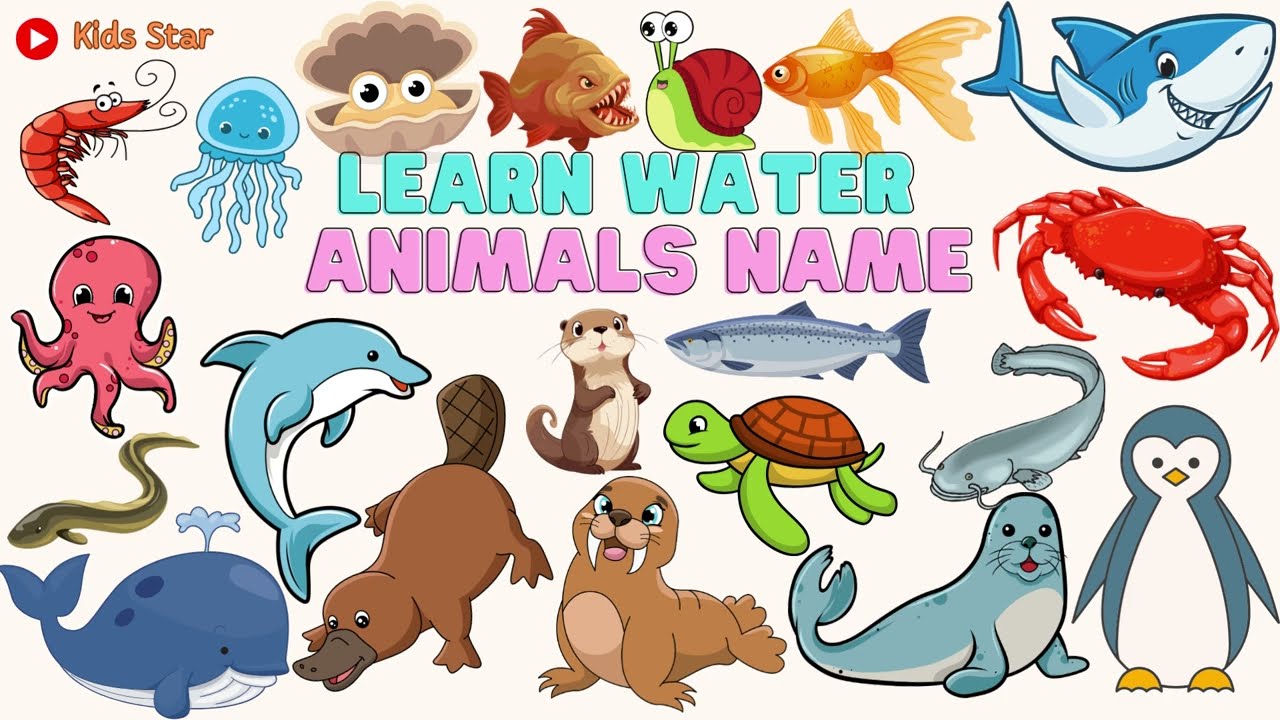 BELAJAR MENGENAL NAMA-NAMA HEWAN AIR BAHASA INDONESIA - BAHASA INGGRIS | LEARNING WATER ANIMALS NAME
