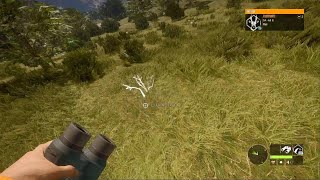 Leucistic ring necked pheasant l theHunter: Call of the Wild