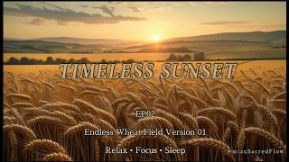 MSF_Silent Valley | Timeless Sunset-Relaxing Piano&Ambient Music for Deep Relaxation, Peaceful Sleep