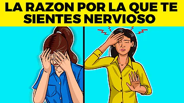 ¿Cómo se llama a una persona que siempre está nerviosa?