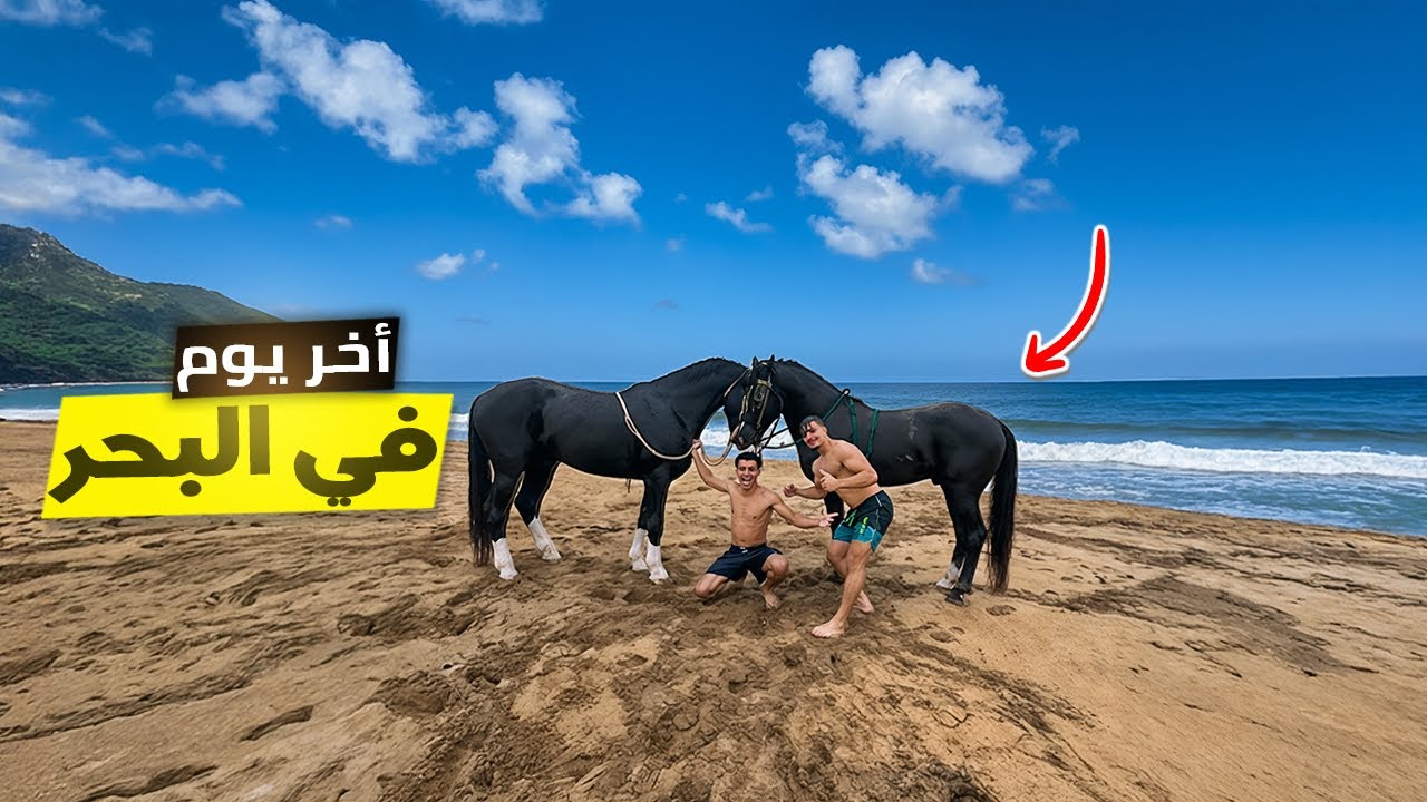 ڤيديو جديد:🤩أخذنا الخيول إلى البحر في آخر أيام الصيف وقضينا وقتاً جميلاً لا يُنسى😍🐎🌊