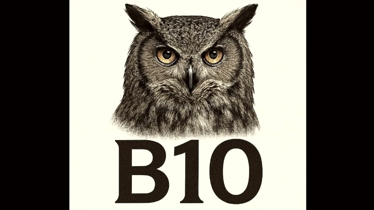 Búho 10 - Ulises Camacho (2025)