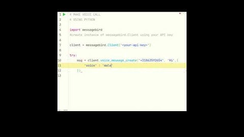 MAKE VOICE CALL | PYTHON | #shorts #alinionuttoader