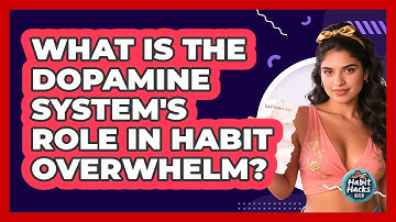 What Is The Dopamine System