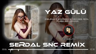 Zeliha Kendirci & Necibe Gül - Yaz Gülü ( Furkan Demir Remix ) Dans Etmez mi Hallenmez mi? Resimi