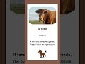 Italian vocabulary made easy 🇮🇹  #italianlanguage #easyitalian #italiano #studyitalian