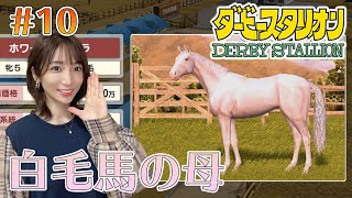 【ダービースタリオン/switch】#10 ホワイトショコラがうちに来ました（有馬記念の雑談しながら配信しよう）【内田敦子/セントフォース】