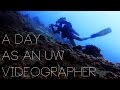 A Day in the Life of an Underwater Videographer