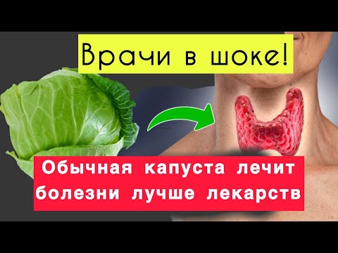 🥬 «Ешь капусту каждый день – и организм изменится навсегда!