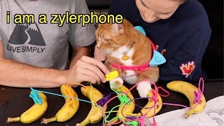 Do My Cats Conduct Electricity? (a feline experiment / banana outtakes)