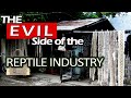 Warning skin trade the dark side of the reptile industry