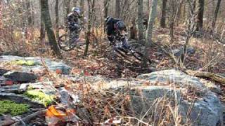Ringwood Nov. 2009 013.avi