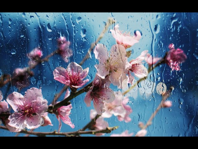 Enya - So I Could Find My Way YT Remix (Saeyd's - Instrumental Version)