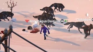Will Someone Tell me Why There Are So Many Wolves?