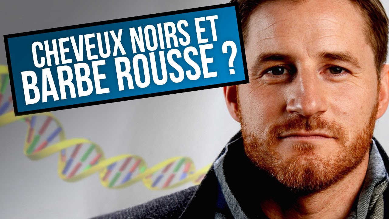 Pourquoi Ma Barbe Devient Rousse Charliebirdy