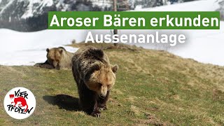 #arosafriday - unsere Bären erstmals draussen | VIER PFOTEN