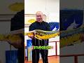 Ikan Mati Disulap Jadi Karya #fish #sturgeon #shorts #ikanhiaspalembang #ikan #koleksiikanpredator