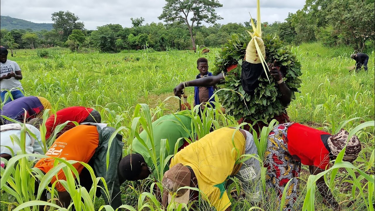 iTV: Reportages - Kédougou, la Terre des Hommes