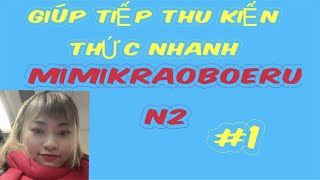 #1 耳から覚えるN2 MIMIKARAOBOERU N2